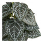 Kunstig Plante - Plante, Grøn H:33 Cm ⎮ 5713917036783 ⎮ 9510002 