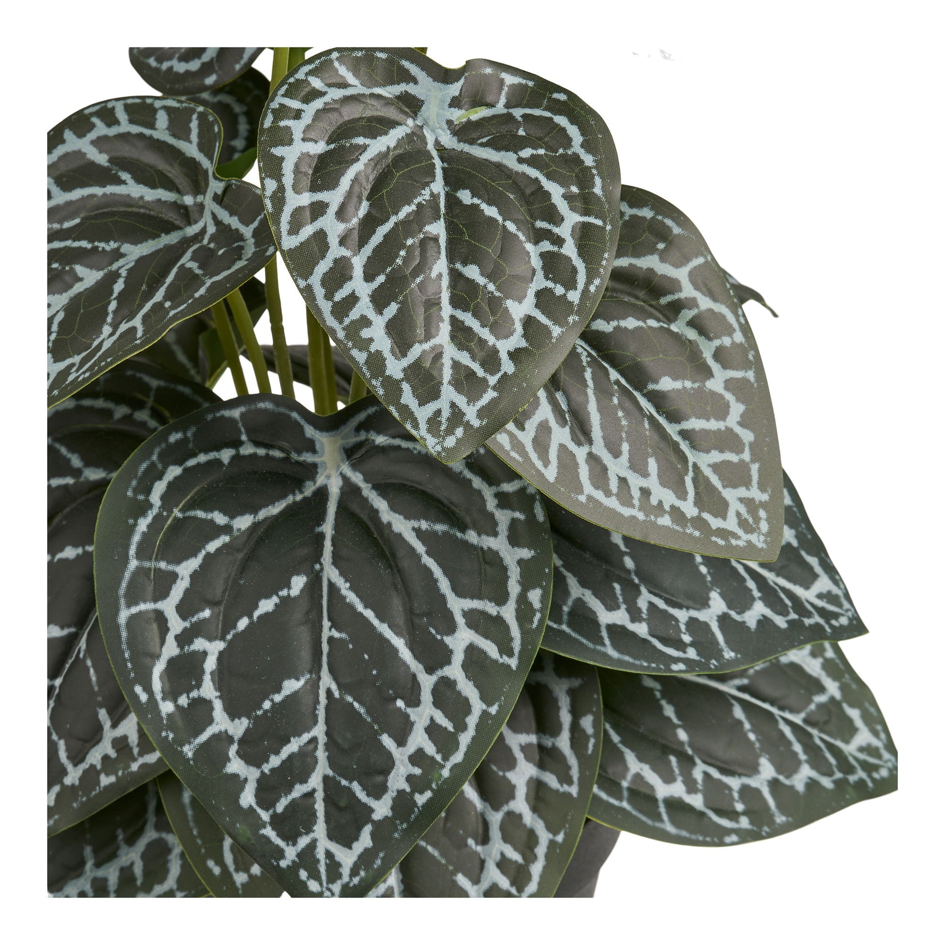Kunstig Plante - Plante, Grøn H:33 Cm ⎮ 5713917036783 ⎮ 9510002 