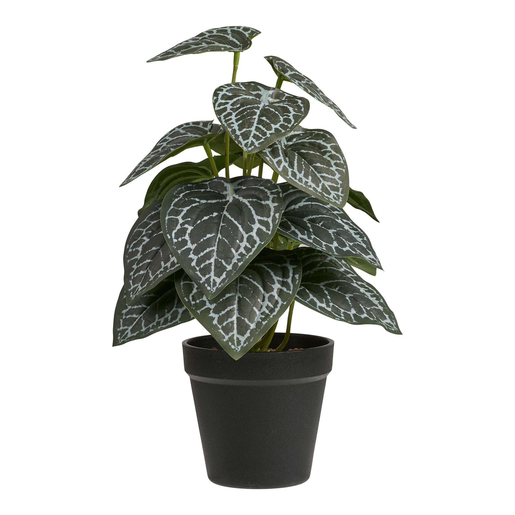 Kunstig Plante - Plante, Grøn H:33 Cm ⎮ 5713917036783 ⎮ 9510002 