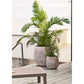 Græs Plante - Plante, Grøn H:68 Cm ⎮ 5713917042968 ⎮ 9510003 