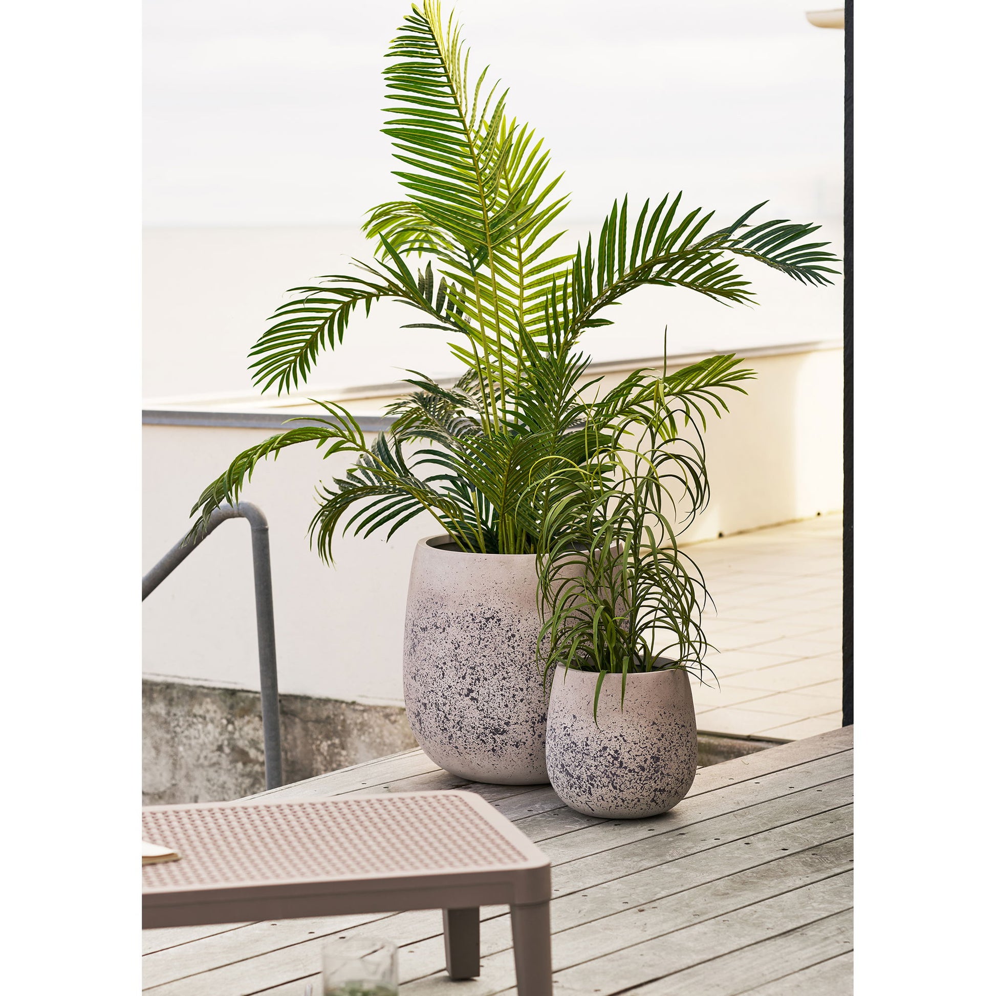 Græs Plante - Plante, Grøn H:68 Cm ⎮ 5713917042968 ⎮ 9510003 