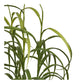 Græs Plante - Plante, Grøn H:68 Cm ⎮ 5713917042968 ⎮ 9510003 