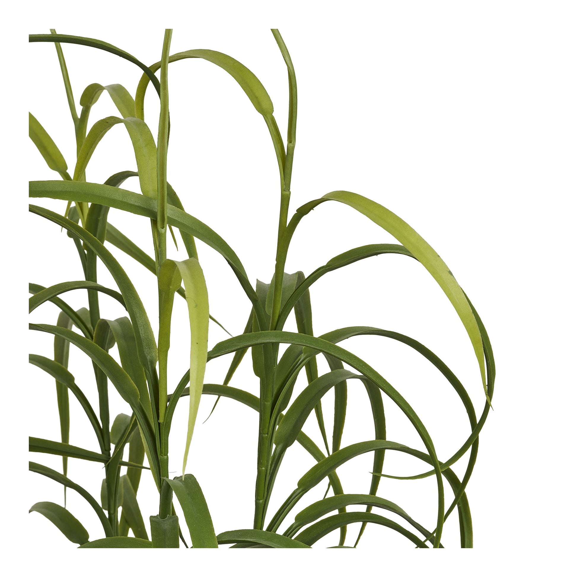 Græs Plante - Plante, Grøn H:68 Cm ⎮ 5713917042968 ⎮ 9510003 