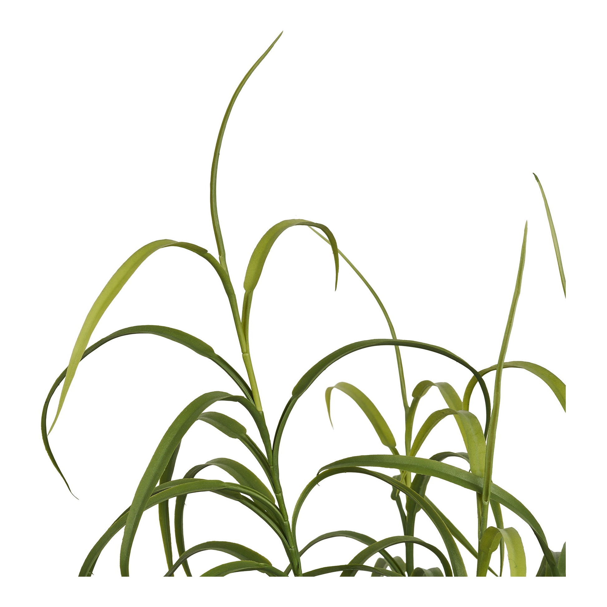 Græs Plante - Plante, Grøn H:68 Cm ⎮ 5713917042968 ⎮ 9510003 
