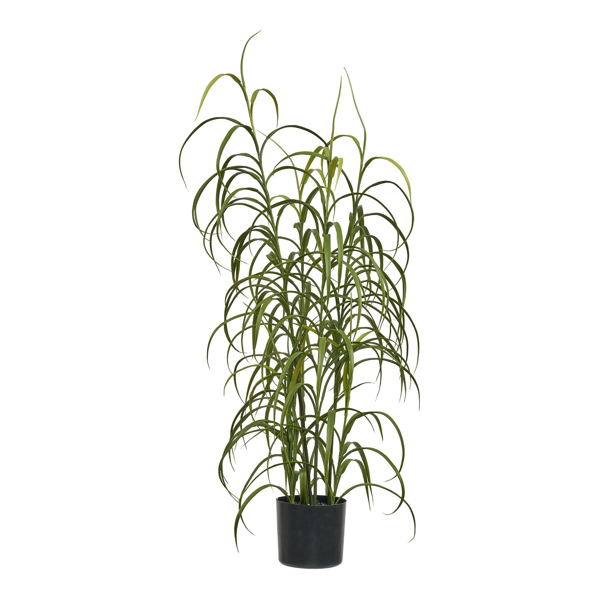 Græs Plante - Plante, Grøn H:68 Cm ⎮ 5713917042968 ⎮ 9510003 