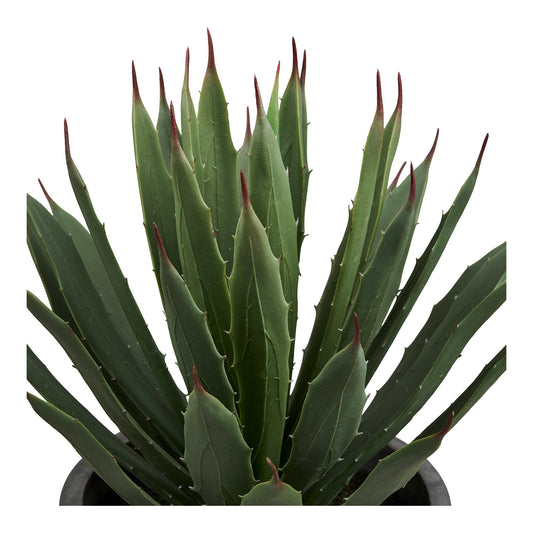 https://cdn.shopify.com/s/files/1/0672/7680/0322/files/No-Image-Placeholder.png?v=1669444344