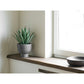 Agave Plante - Med Potte, Kunstig, Grøn/Grå H:41 Cm ⎮ 5713917045921 ⎮ 9510004 