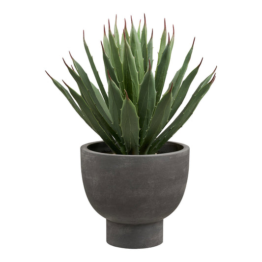 https://cdn.shopify.com/s/files/1/0672/7680/0322/files/No-Image-Placeholder.png?v=1669444344