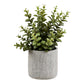Succulent  - Kunstig Plante Med Cement Potte, Grøn/Grå, H:33 ⎮ 5713917045938 ⎮ 9510005 