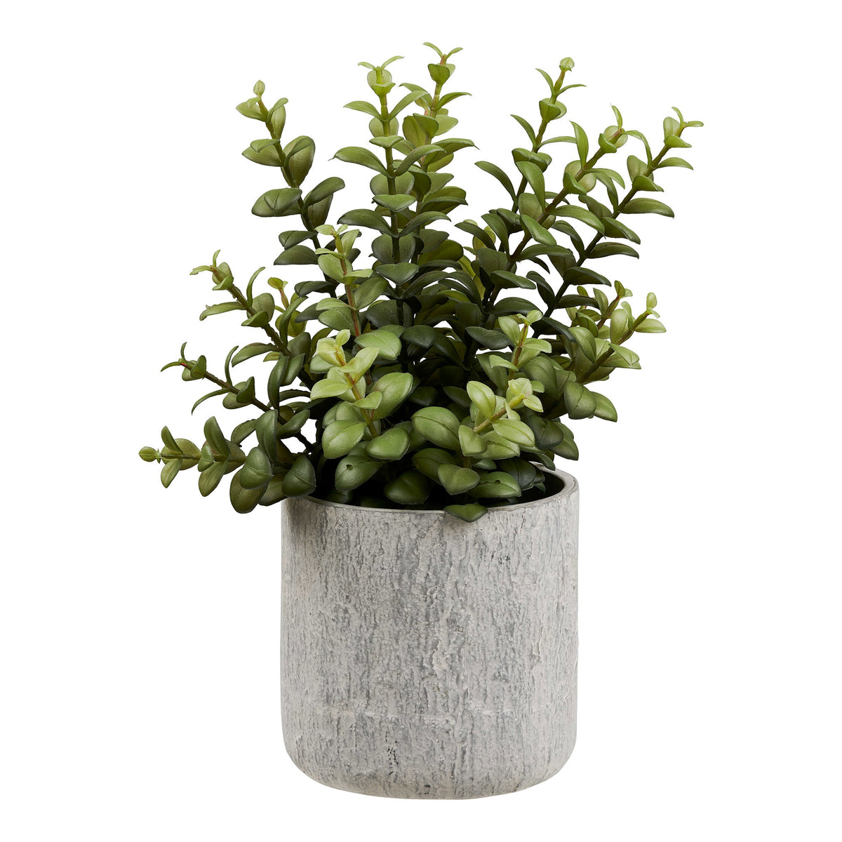 Succulent  - Kunstig Plante Med Cement Potte, Grøn/Grå, H:33 ⎮ 5713917045938 ⎮ 9510005 